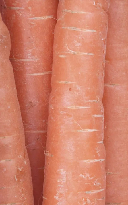 Vitamin A