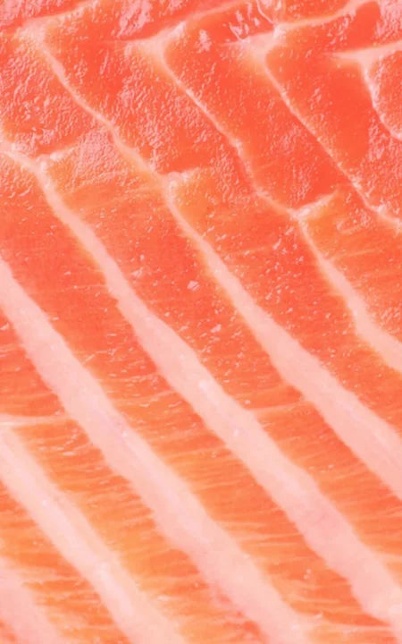 Vitamin B12