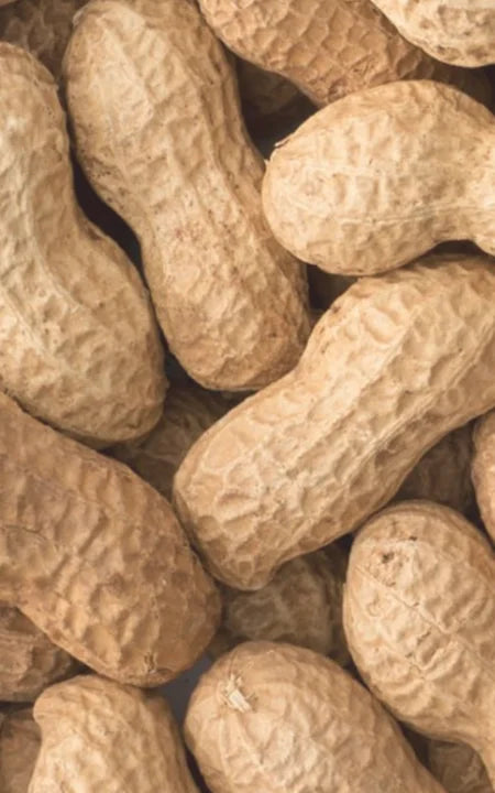 Vitamin B3